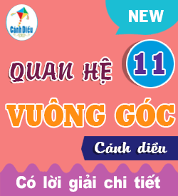 Quan hệ vuông góc (CD_T11)